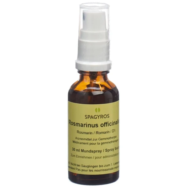 SPAGYROS GEMMO Rosmarinus off Glyc Maz D 1 30 ml