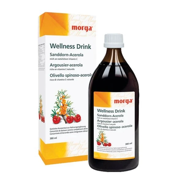 MORGA Sanddorn Wellness Drink Fl 380 ml