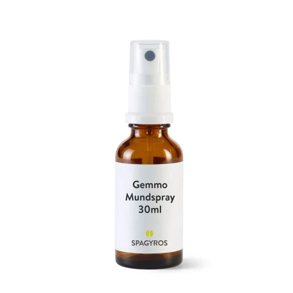 SPAGYROS GEMMO Vaccinium myrti Glyc Maz D 1 30 ml